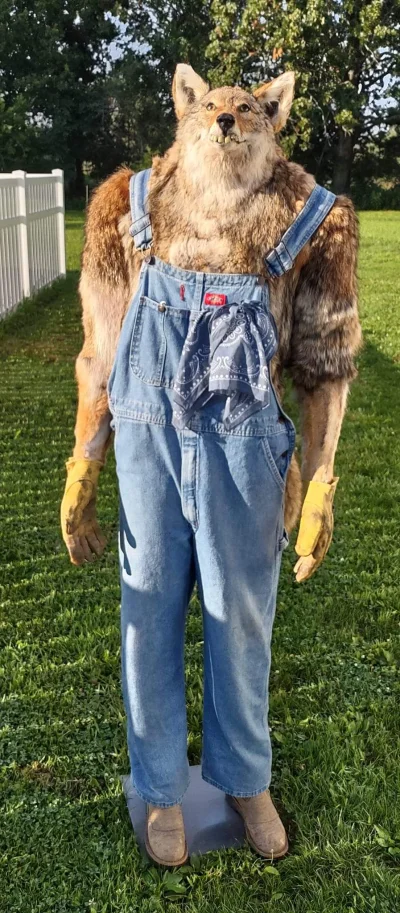 iustitiax - CHO NA SOLO