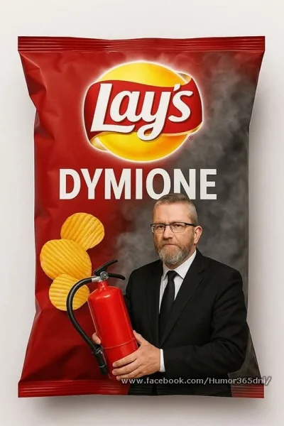 Wewnetrzny_Recenzent - #heheszki #lays #braun #pasjonaciubogiegozartu #humorobrazkowy...