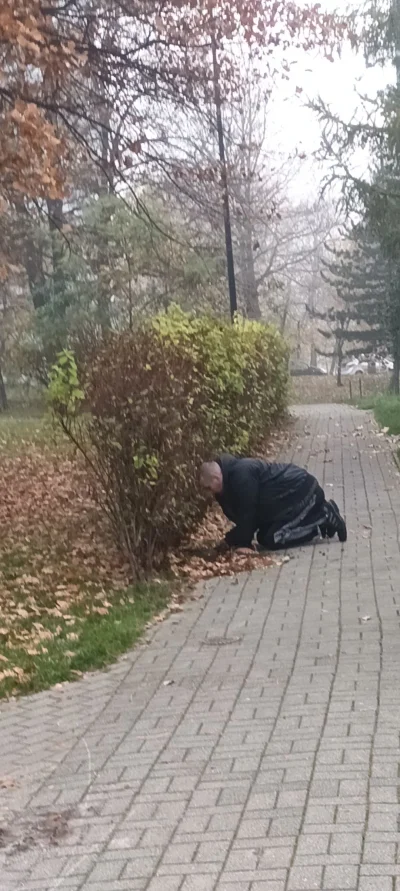 EpicElion - Kurła p--------e te dziki.

#narkotykizawszespoko #pdk #heheszki