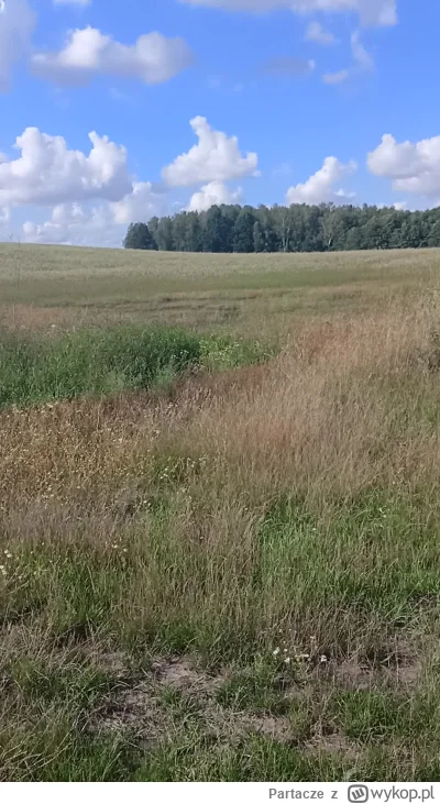 Partacze - Któryś raz będąc na Warmi i Mazurach na kompletnych bezdrożach rowerem sły...