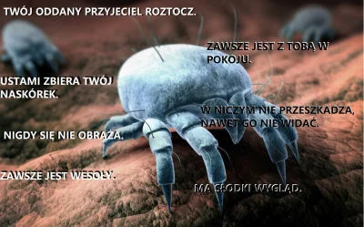 maniek-maniewski - #humorobrazkowy #roztocza #heheszki

Sam zrobiłem!