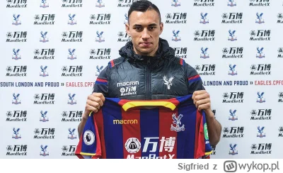 Sigfried - Pamięta ktoś filmik jak kibic Zagłębia Lubin krzyczał do Jarosława Jacha "...