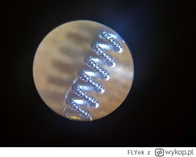 FLYek - A tu mój żarnik zoom bodajże 100