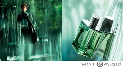 weah - Dzień dobry #perfumy ( ͡° ͜ʖ ͡°)

Ostatnie 30 ml nowości od Hermesa, komu, kom...