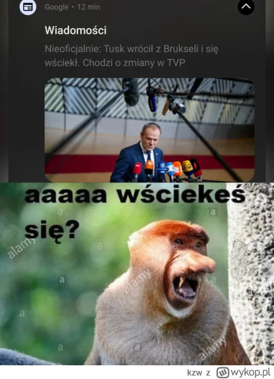 kzw - #polityka #sejm #tusk #nosaczsundajski ( ͡° ͜ʖ ͡°)