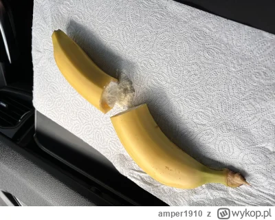 amper1910 - Wiozę banany z Rotterdamu, wziąłem kilka sztuk do sprawdzenia ich jakości...