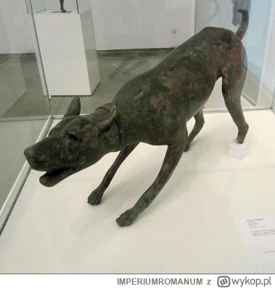 IMPERIUMROMANUM - Pies z Volubilis

Rzeźba rzymska z Volubilis (obecne północne Marok...