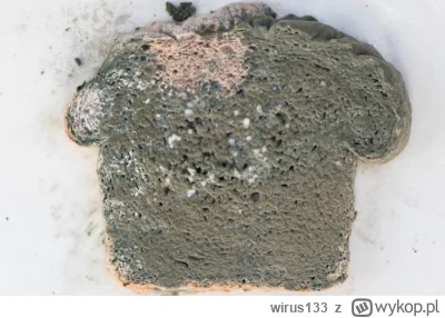 wirus133 - Ja też się pochwale swoją kolekcją.