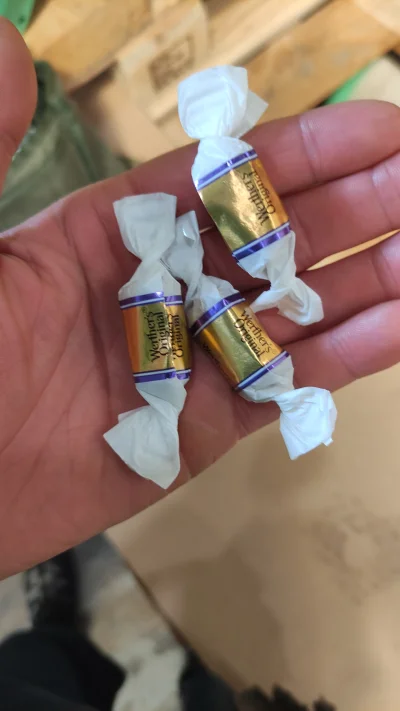 Glacial - Te pyszne s--------y właśnie wyciągnęły mi plombę z zęba.
Wiecie co z nimi ...