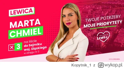 Kopytnik_1 - #polityka #polska #wybory #kobiety #kiciochpyta #pytaniedoniebieskichpas...