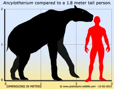 Loskamilos1 - @Loskamilos1: