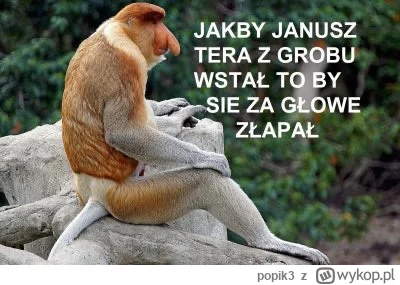 popik3 - #humorobrazkowy #heheszki #wszystkichswietych