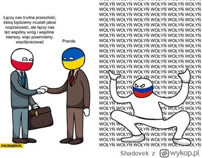 Shadovek - @Stabilizator: Taki obraz wasz