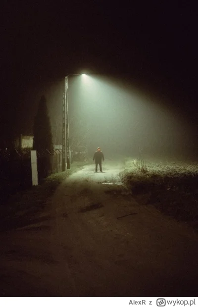 AlexR - korzystajac z mglistej aury "cicho, bo przyjdzie zdzicho" #fotografia