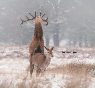 Analny_Rozrabiaka - #thebestofmirko jeśli to pamiętasz miałeś fajne dzieciństwo xD 

...