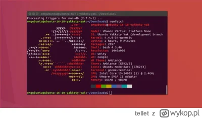 tellet - @szejk_wojak: Na linuxie UX nie istnieje, jeśli chcesz zrobić cokolwiek inne...