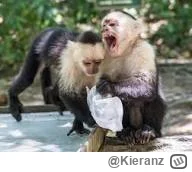 Kieranz - @Urodzony_Kleszczem tymczasem Faryzeusze