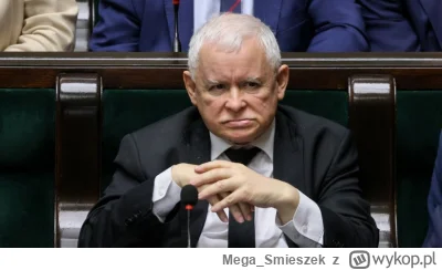 Mega_Smieszek - Where Jarek

#sejm