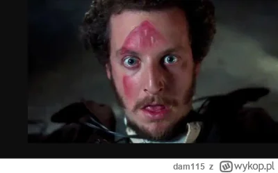 dam115 - @kamiltomal Gracjan był kaskaderem w filmie "Kevin sam w domu" w scenie z że...