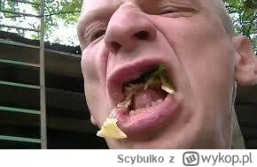 Scybulko - O tak sie je

#kononowicz #patostreamy