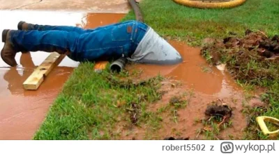 robert5502 - Dobra i zla wiadomości odnosnie #wybory w #usa
Dobra - "dziennikarze" tv...