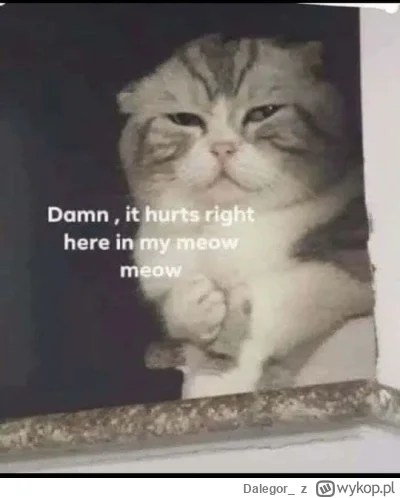 Dalegor - @hibiskusmi_umieraa: