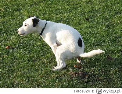 Fotos324 - #rolnikszukazony