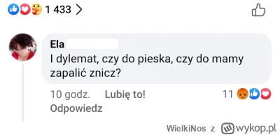 WielkiNos - Zwyczajne dylematy psiarzy w dzień wszystkich świętych.

#psiarze #bekazp...