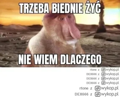 DEX666 - @rtone: W każdej iteracji ten mem traci piksele przez kompresję, co czyni go...