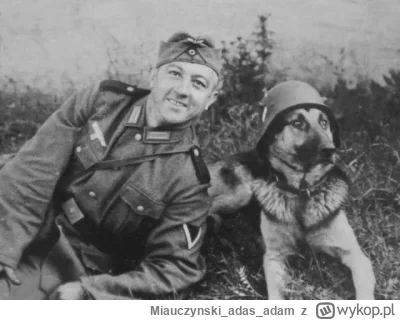 Miauczynskiadasadam - @Rolss: próbuje Ci powiedzieć, że pod ziemią siedzi ciapaty - c...
