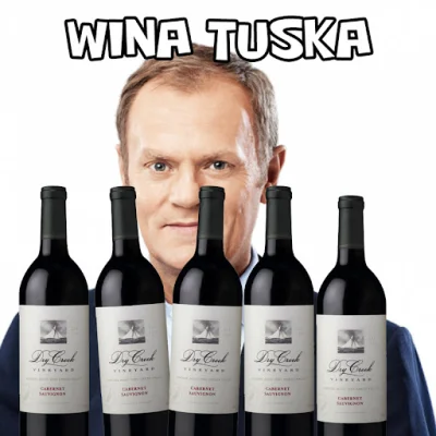 PolishCebula - @snup-siup: wina Tuska hehe,  wykopki myślą że każda spółka w polsce j...