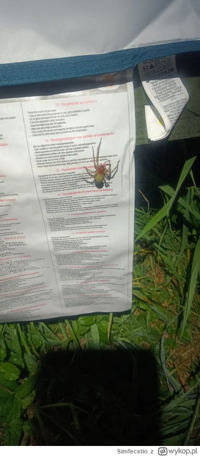 Simfecstio - Hej. Patrzcie co znalazłem na rybach. To chyba kolczak zbrojny? Pierwszy...