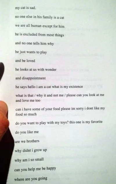 FreakingAwesome - o kotku