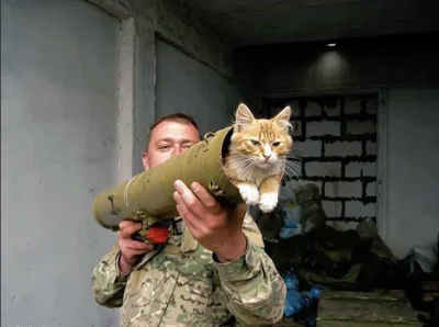 Kagernak - Codzienny raport ISW, stan na 8 marca. Zapraszam do śledzenia tagu #codzie...