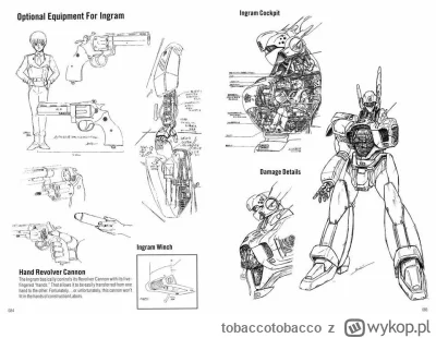 tobaccotobacco - @wygolony_libek-97: spory nt. tego jak kierować mechem i cała koncep...