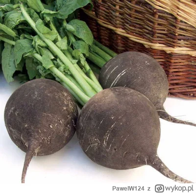 PawelW124 - #przegryw 

U mnie nigdy warzywa okopowe nie wychodzą takie kształtne jak...