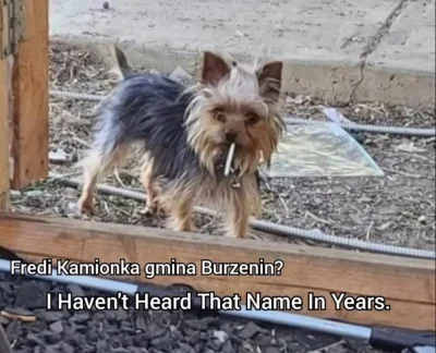 hermetyczniee - #heheszki #fredikamionka