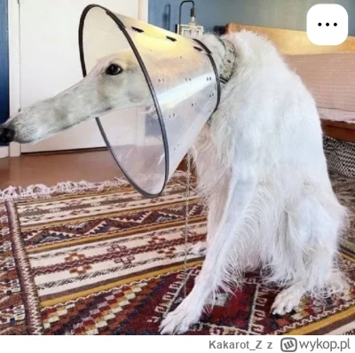 Kakarot_Z - Wąchać to jego drugie imię