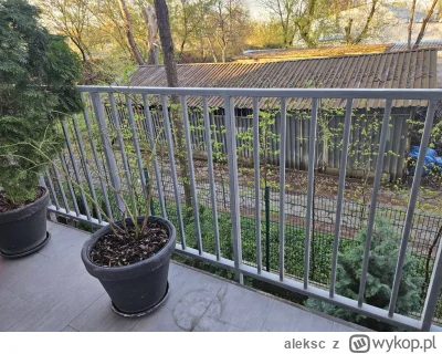 aleksc - Będę robić pierwsze w życiu malowanko balustrady - 6 metrów długości. Postęp...