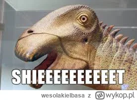 wesolakielbasa - @ShakeItOff: albo Nigerzaury.