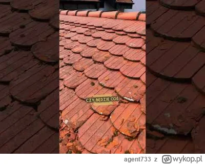 agent733 - #bystrzaktv #patostreamy