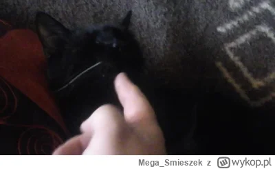 Mega_Smieszek - Tak wyglądał mój kotken czarnotken, który odszedł kilka lat temu :( 
...