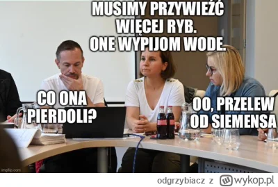 odgrzybiacz - #powodz