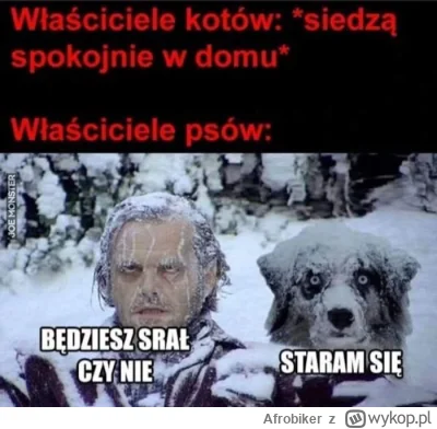 Afrobiker - #heheszki