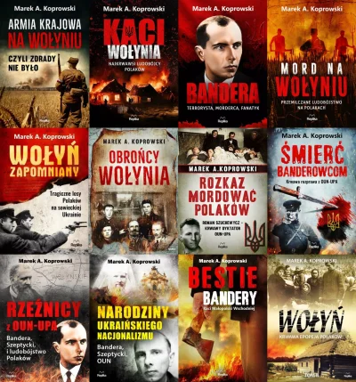 solejukowski - Myślicie, że wykopki z głównej mają obsesję na punkcie Wołynia? To pa ...