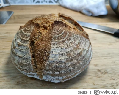 geuze - No knead bread na drożdżach, 1050 i pełnoziarnista, trochę za mało wody ale u...