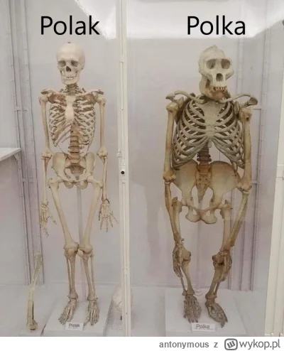 antonymous - #heheszki #takaprawda