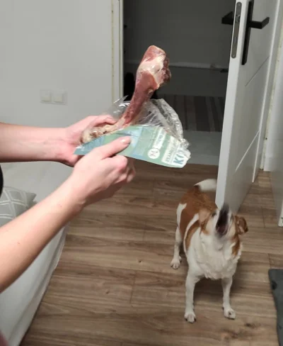 skrytek - #smiesznypiesek