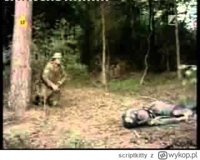 scriptkitty - @Wachatron: