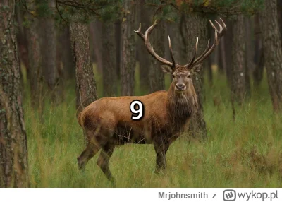 Mrjohnsmith - #mecz ( ͡° ͜ʖ ͡°)